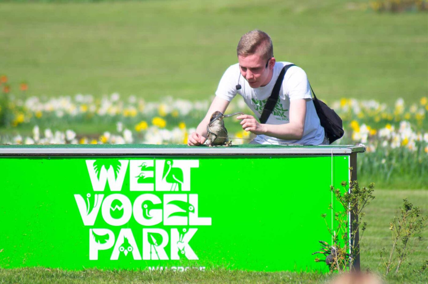 2018-04-18 - Walsrode - Vogelpark