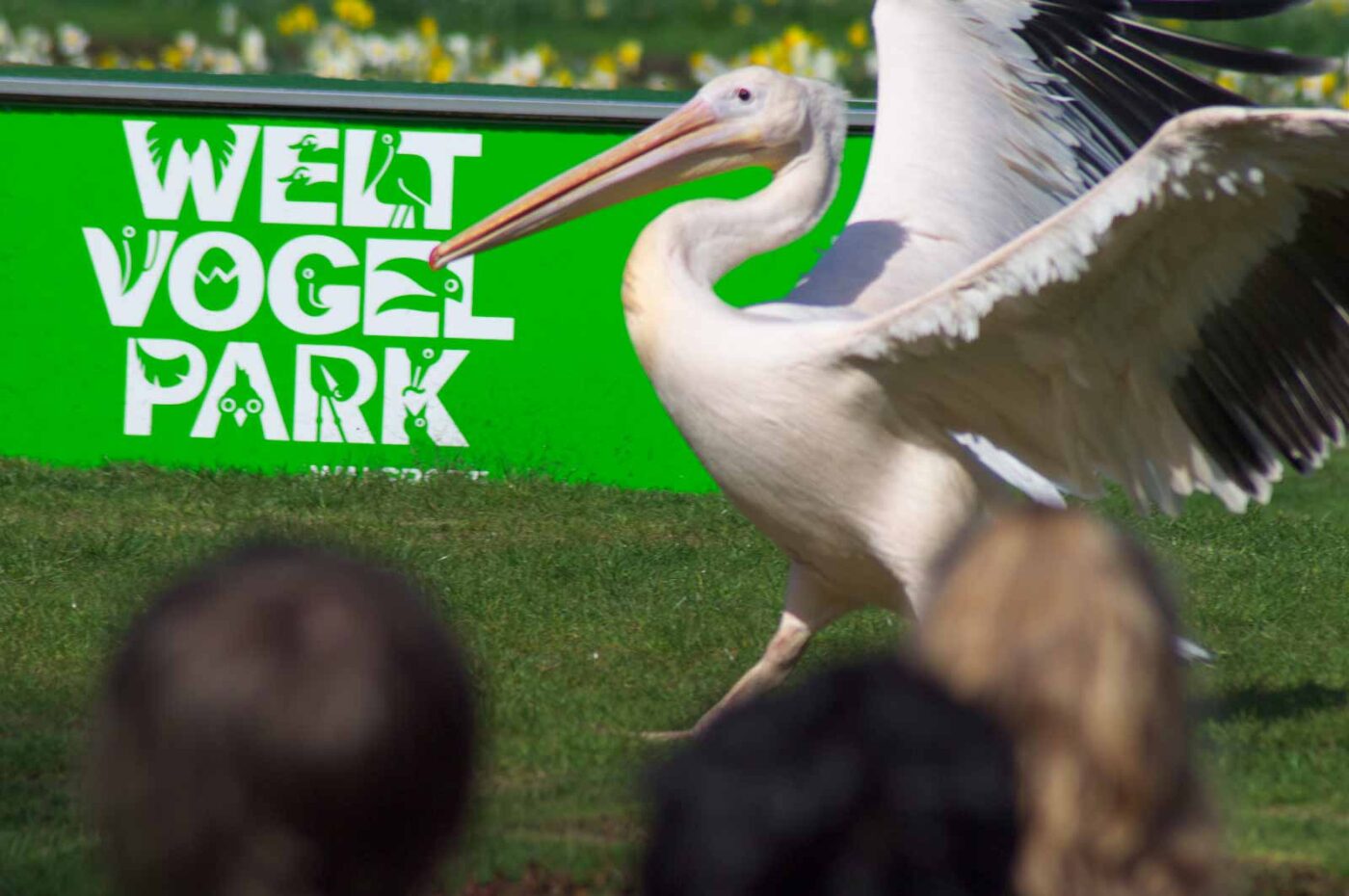 2018-04-18 - Walsrode - Vogelpark