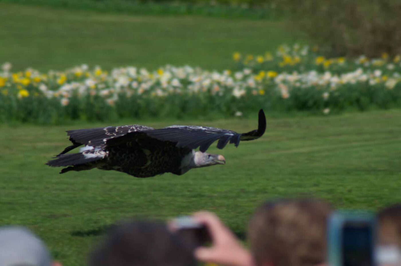 2018-04-18 - Walsrode - Vogelpark