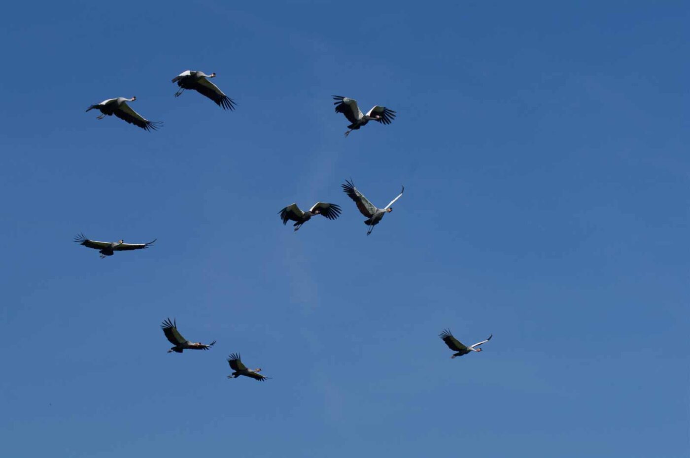 2018-04-18 - Walsrode - Vogelpark