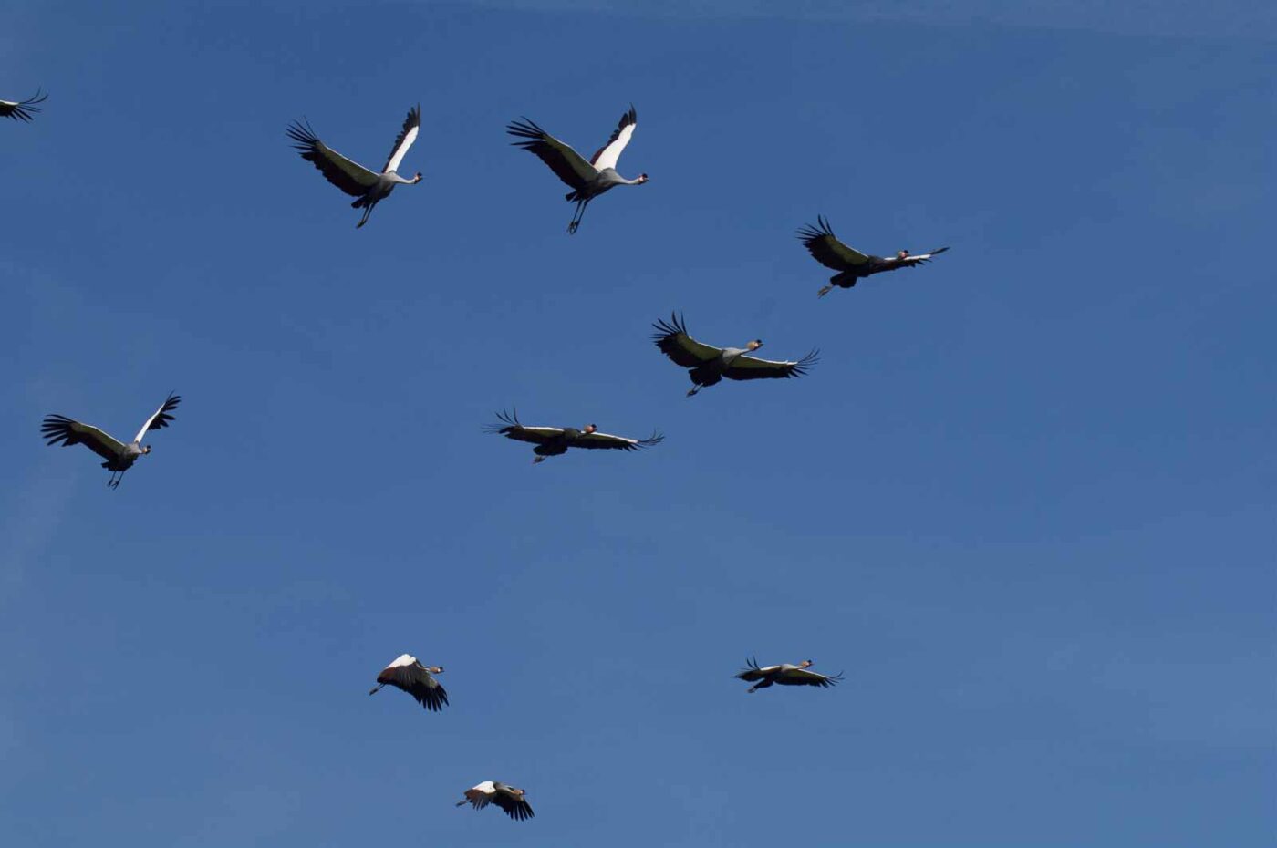 2018-04-18 - Walsrode - Vogelpark