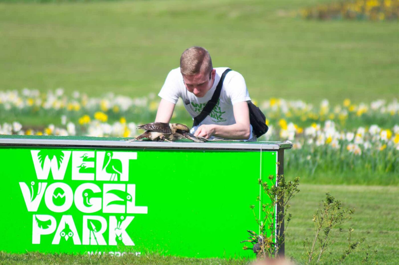 2018-04-18 - Walsrode - Vogelpark