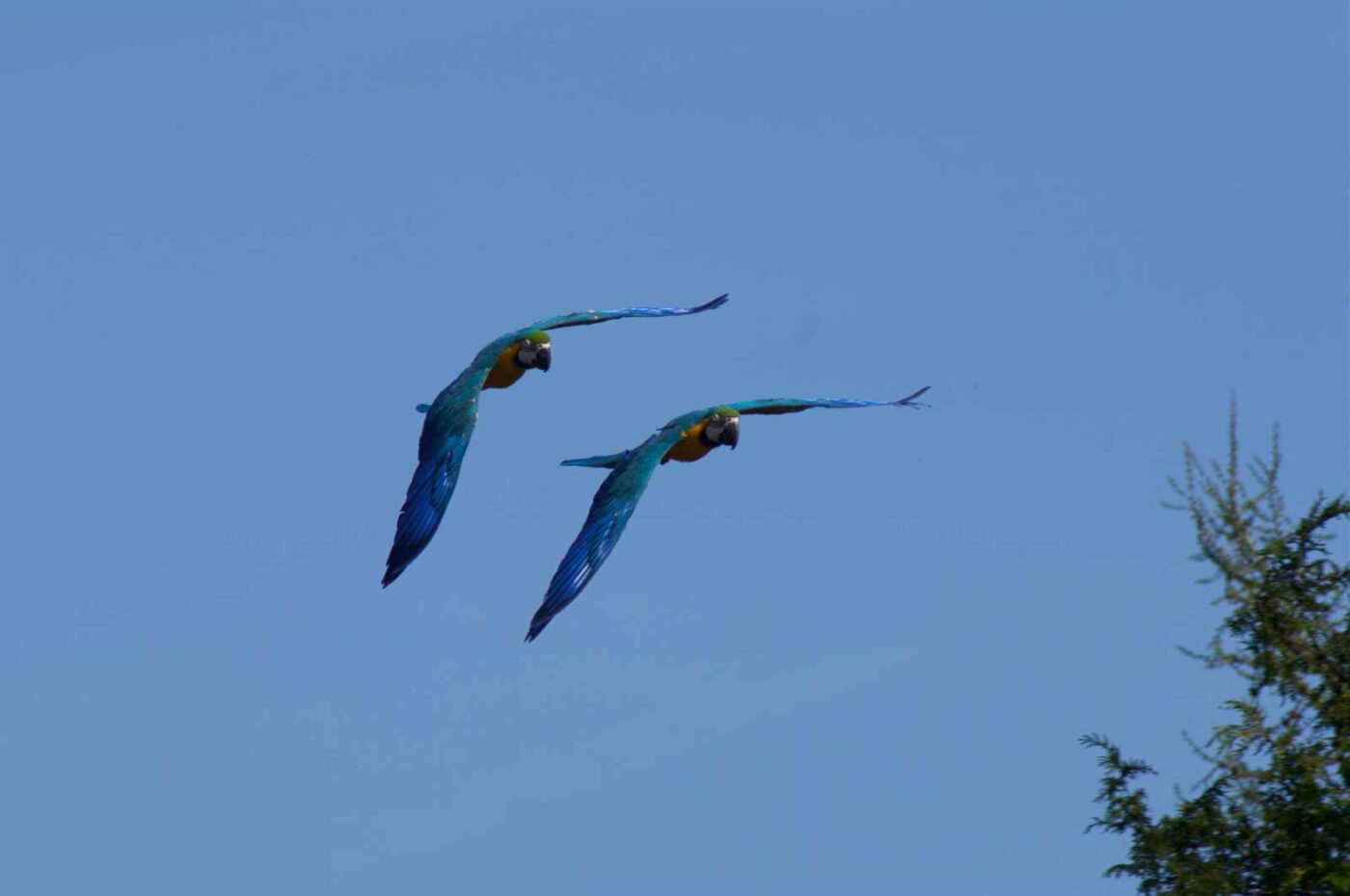 2018-04-18 - Walsrode - Vogelpark