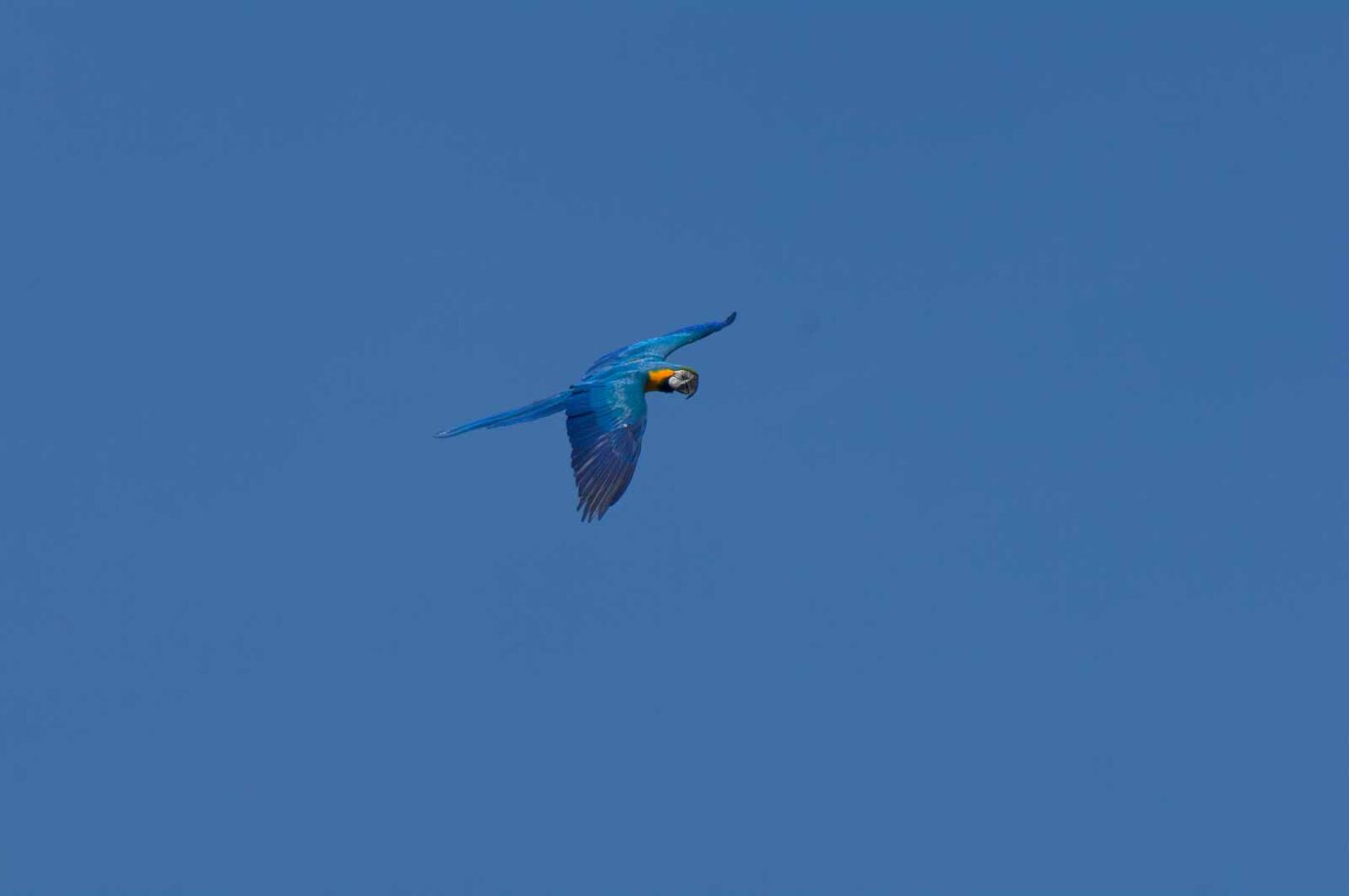 2018-04-18 - Walsrode - Vogelpark