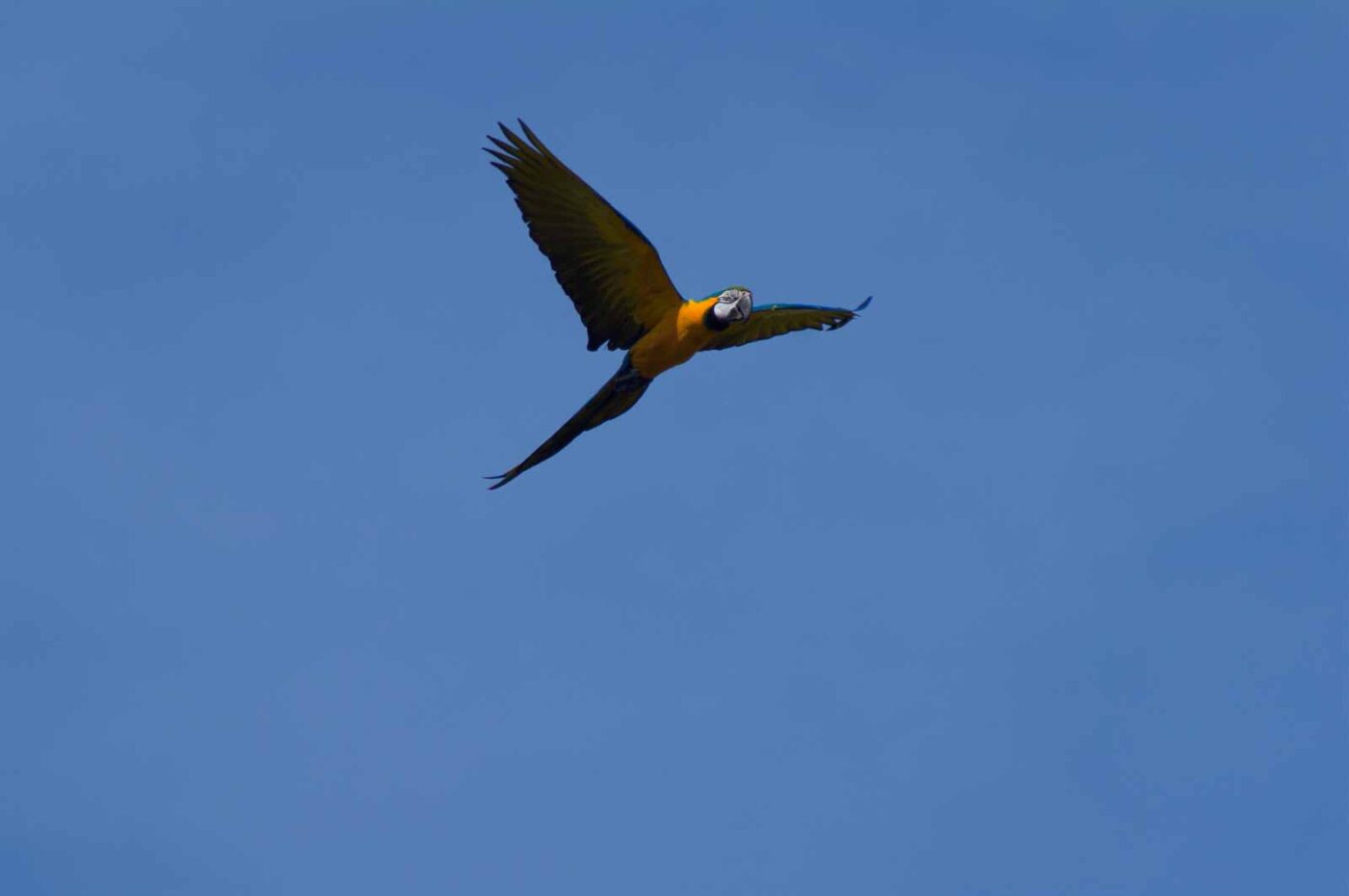 2018-04-18 - Walsrode - Vogelpark