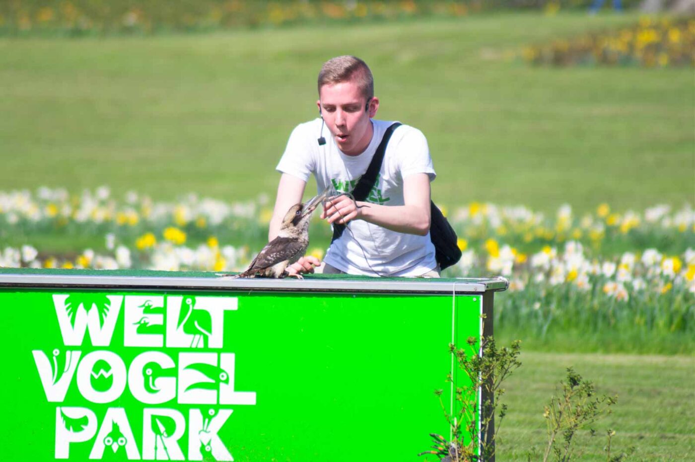 2018-04-18 - Walsrode - Vogelpark