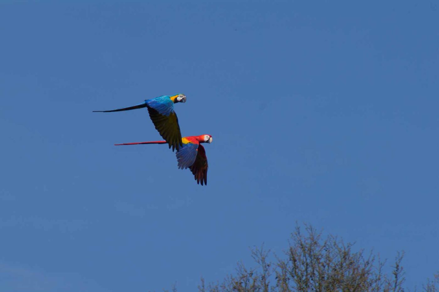 2018-04-18 - Walsrode - Vogelpark