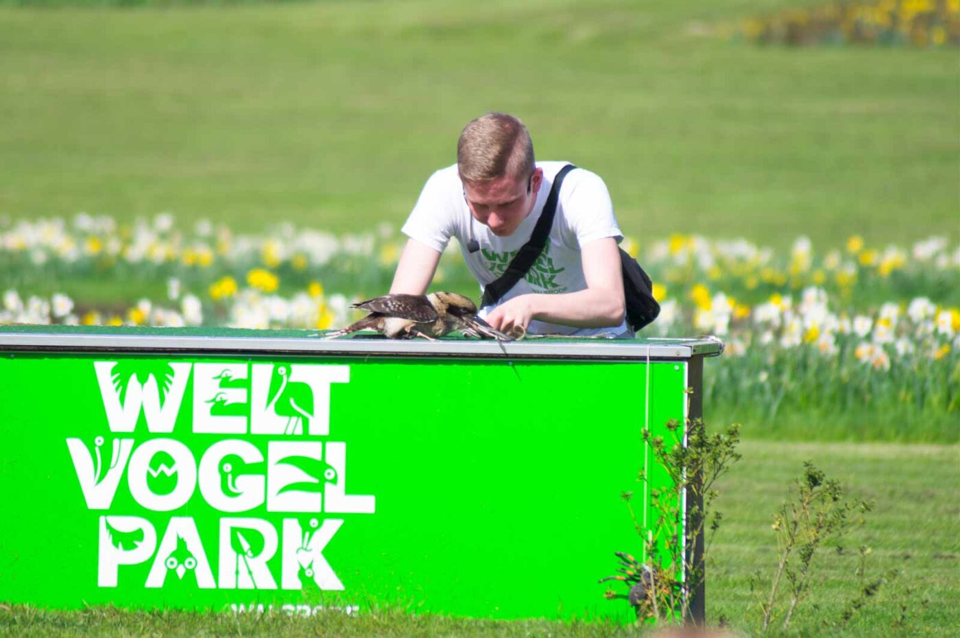 2018-04-18 - Walsrode - Vogelpark