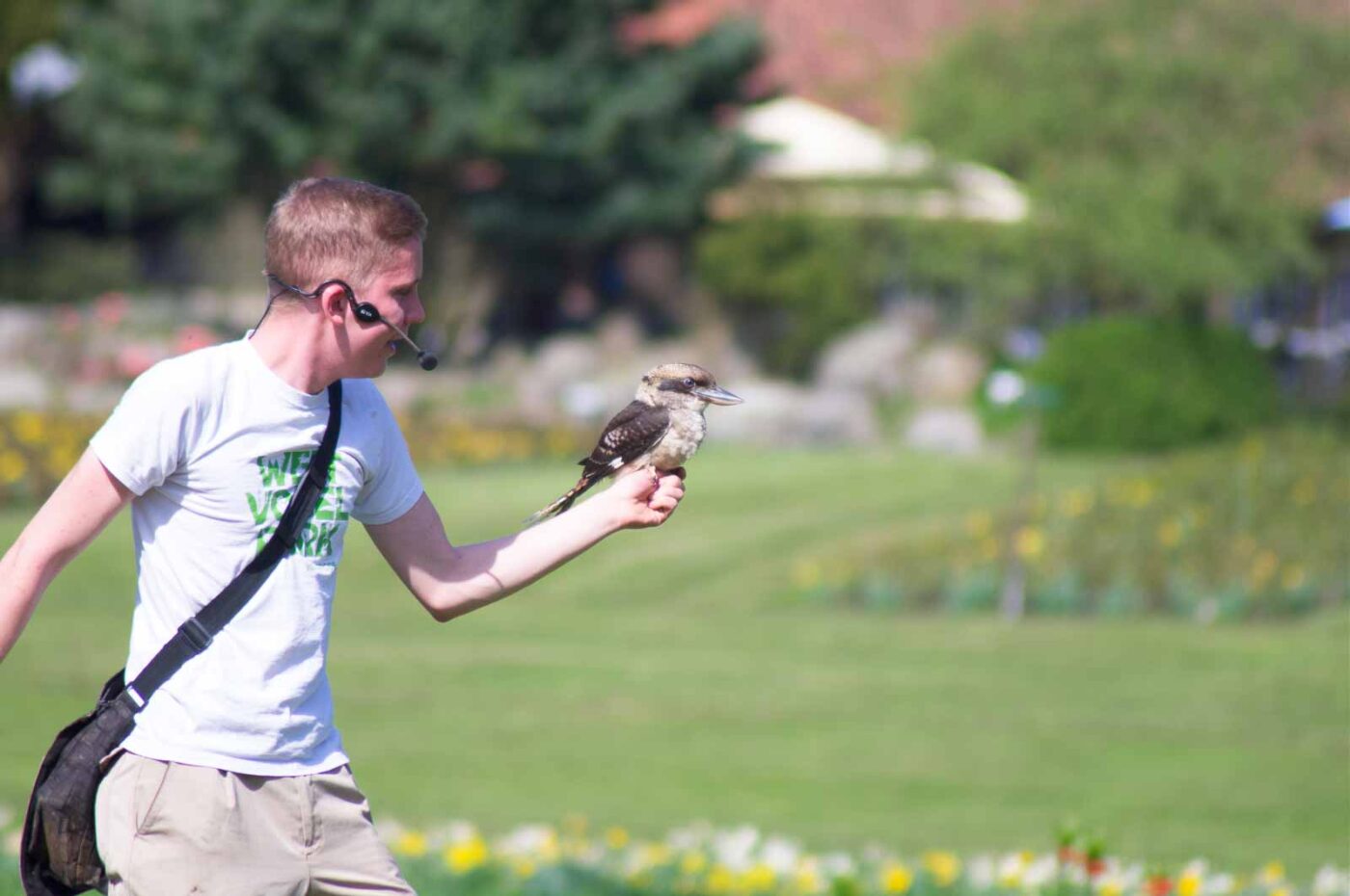 2018-04-18 - Walsrode - Vogelpark