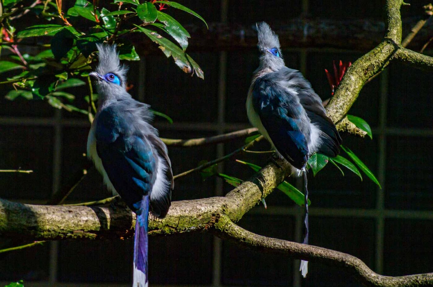 2018-04-18 - Walsrode - Vogelpark