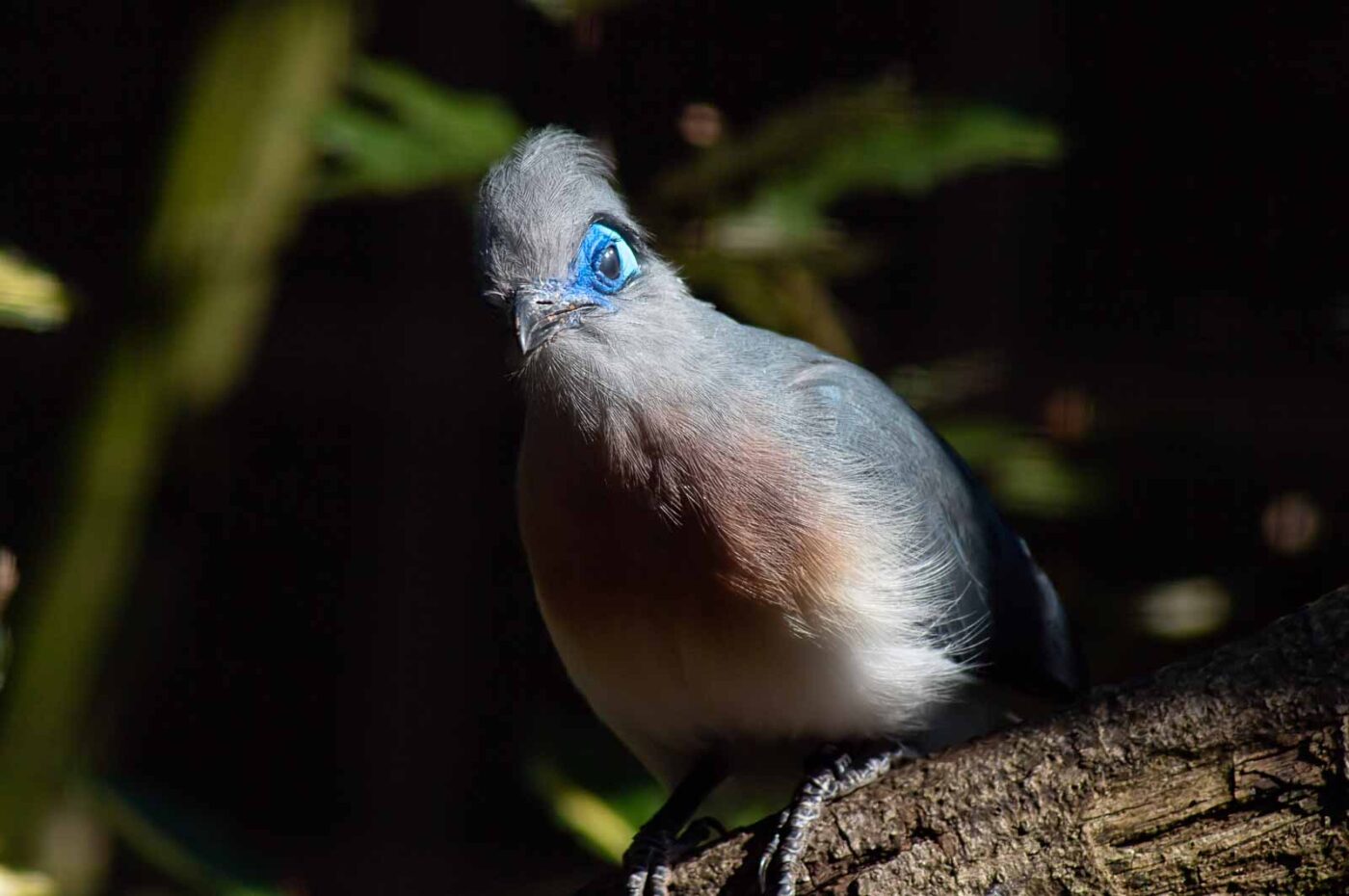 2018-04-18 - Walsrode - Vogelpark