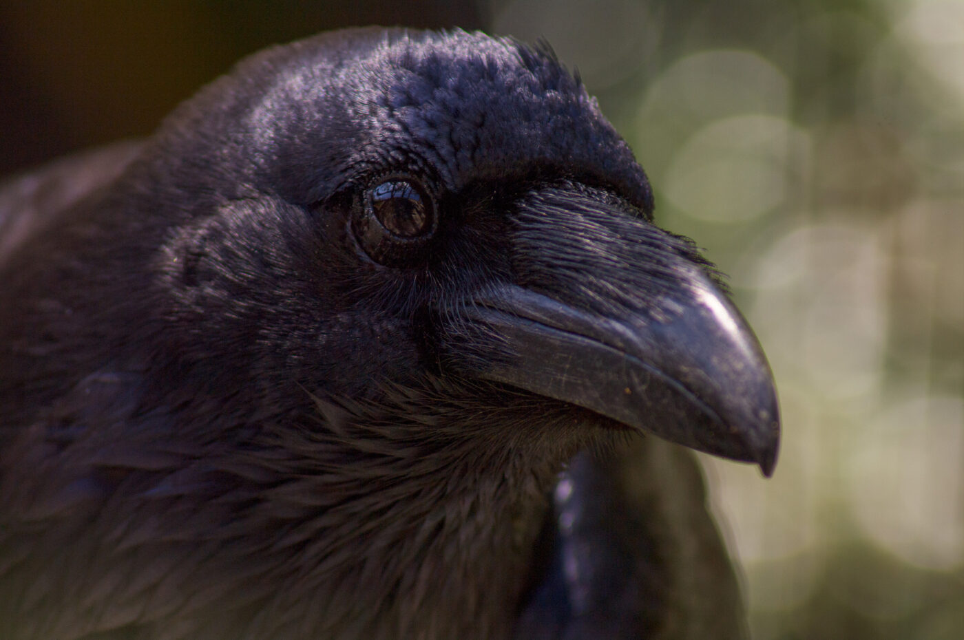 2018-04-18 - Walsrode - Vogelpark