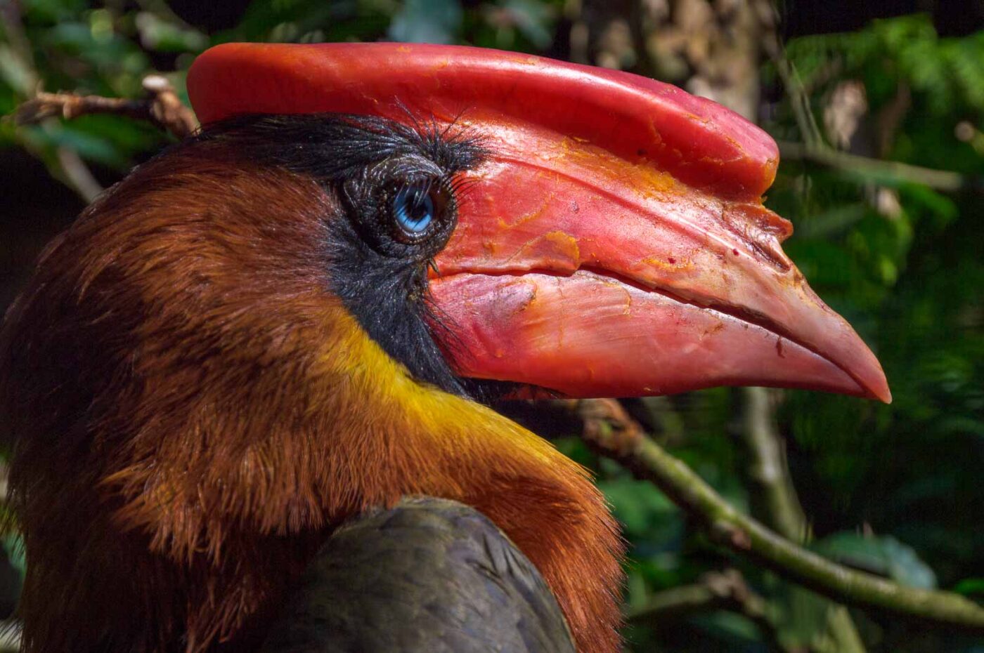 2018-04-18 - Walsrode - Vogelpark