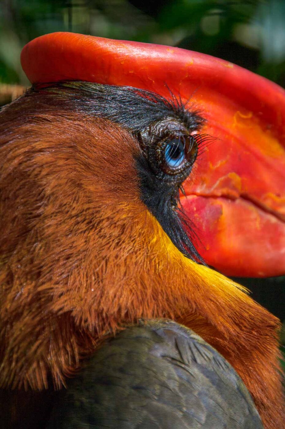 2018-04-18 - Walsrode - Vogelpark