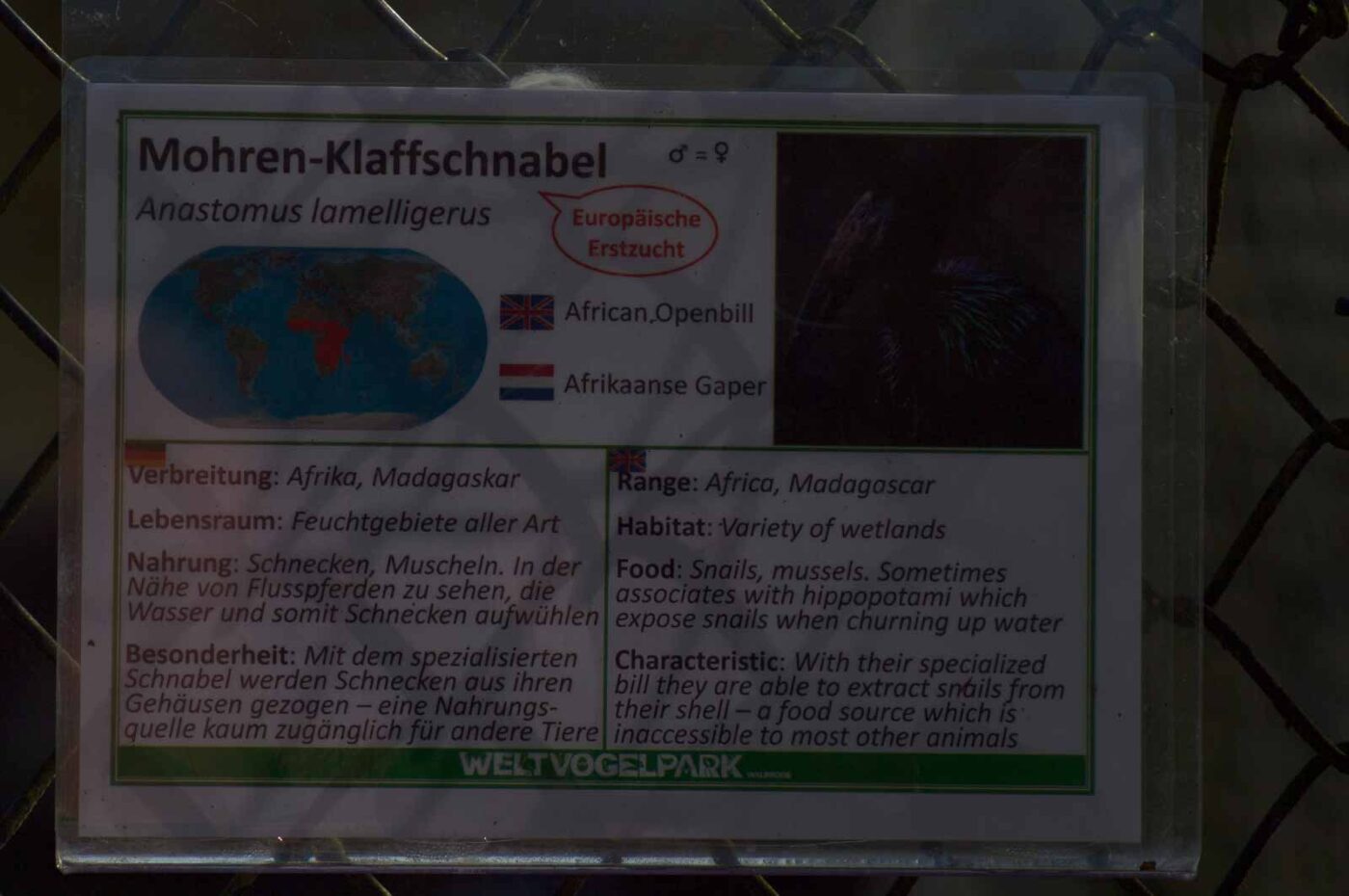 2018-04-18 - Walsrode - Vogelpark