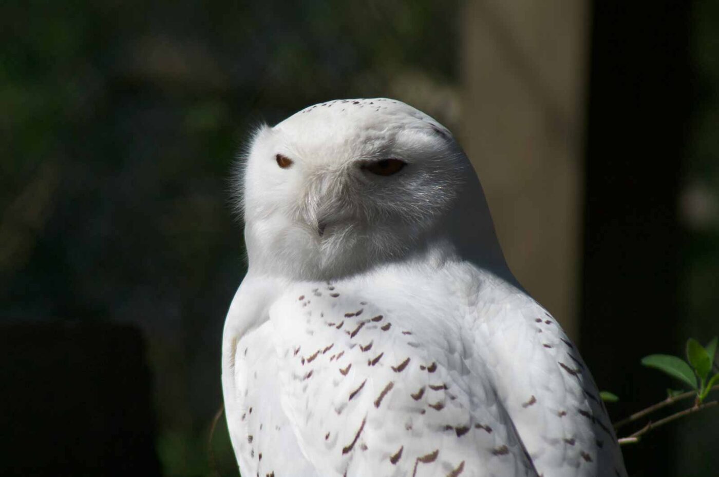 2018-04-18 - Walsrode - Vogelpark