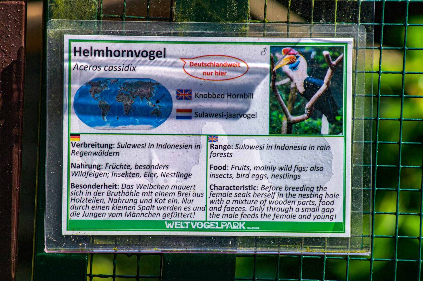 2018-04-18 - Walsrode - Vogelpark