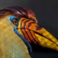 2018-04-18 - Walsrode - Vogelpark