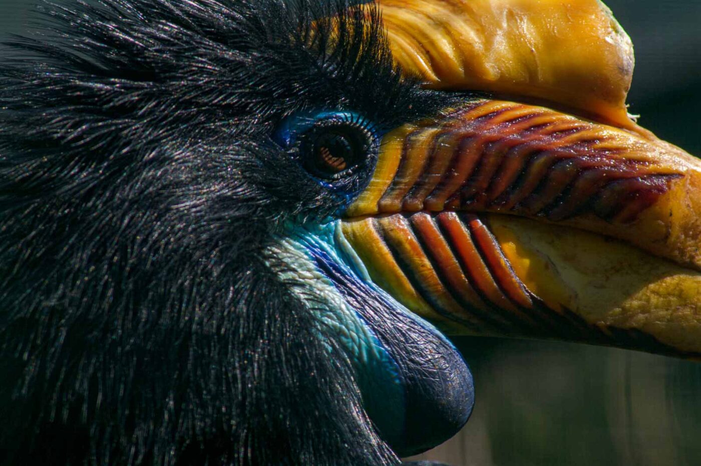 2018-04-18 - Walsrode - Vogelpark