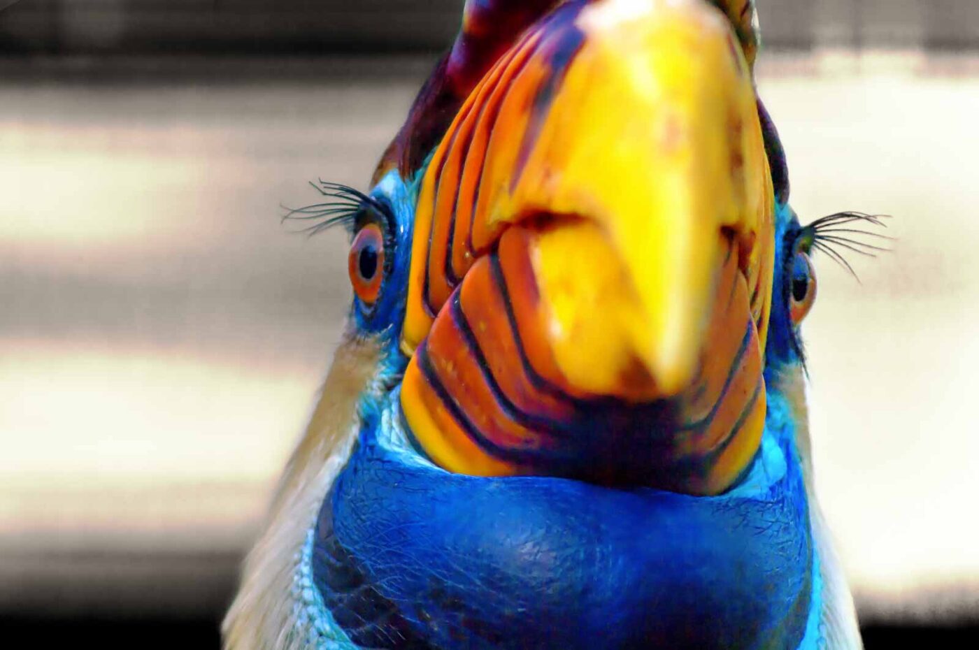 2018-04-18 - Walsrode - Vogelpark