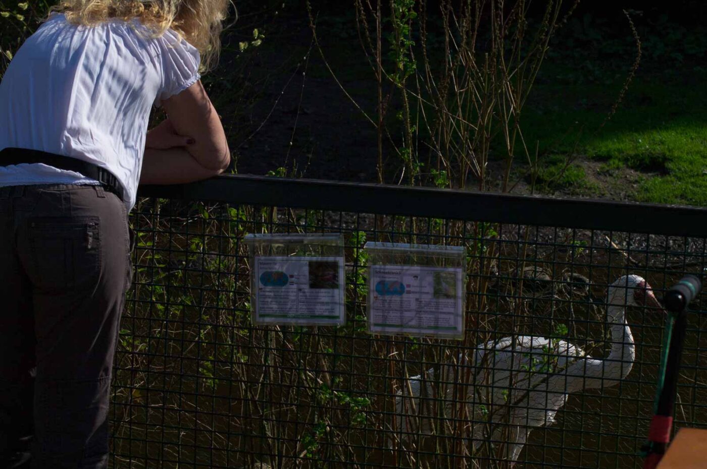 2018-04-18 - Walsrode - Vogelpark