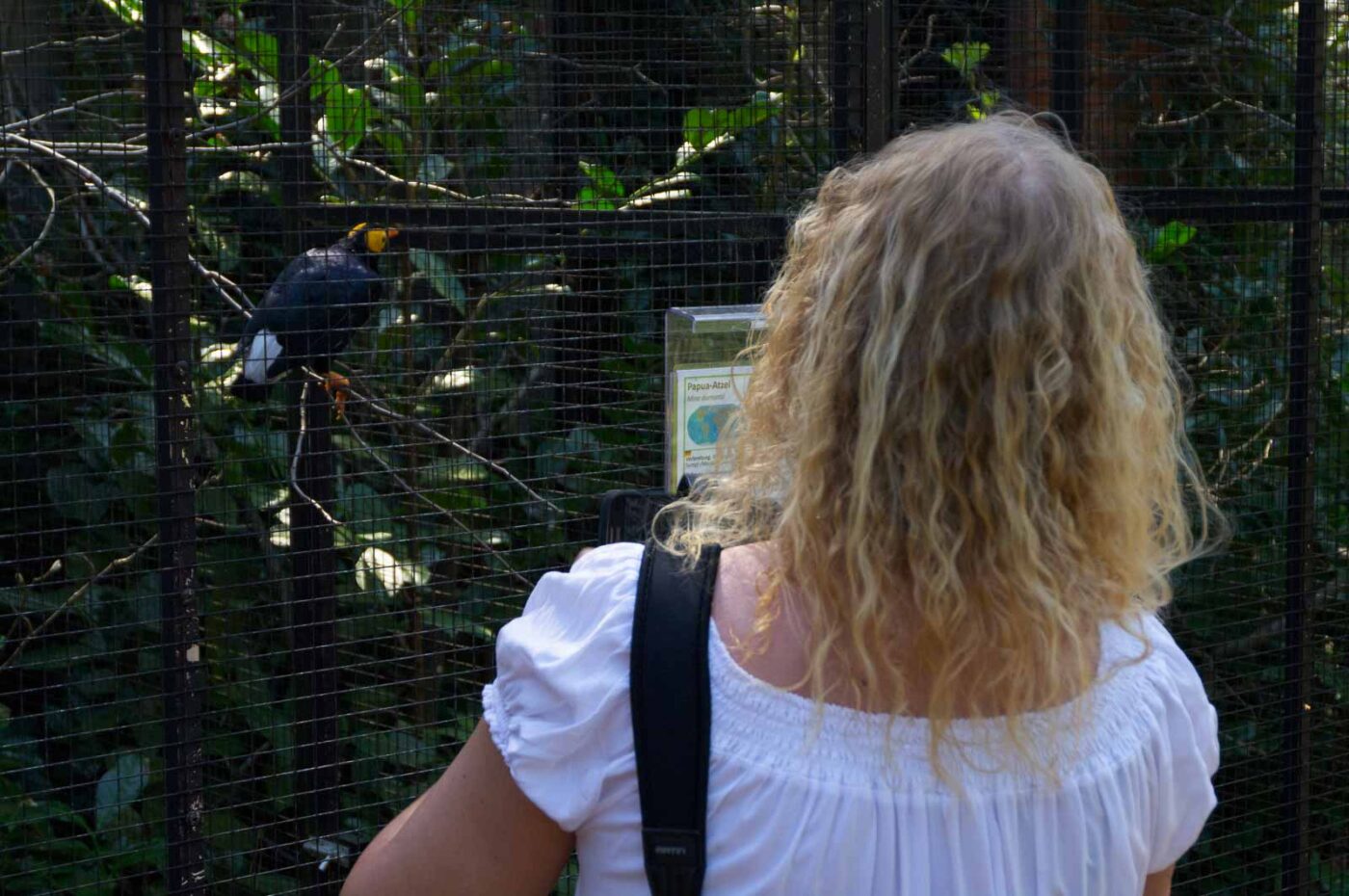 2018-04-18 - Walsrode - Vogelpark