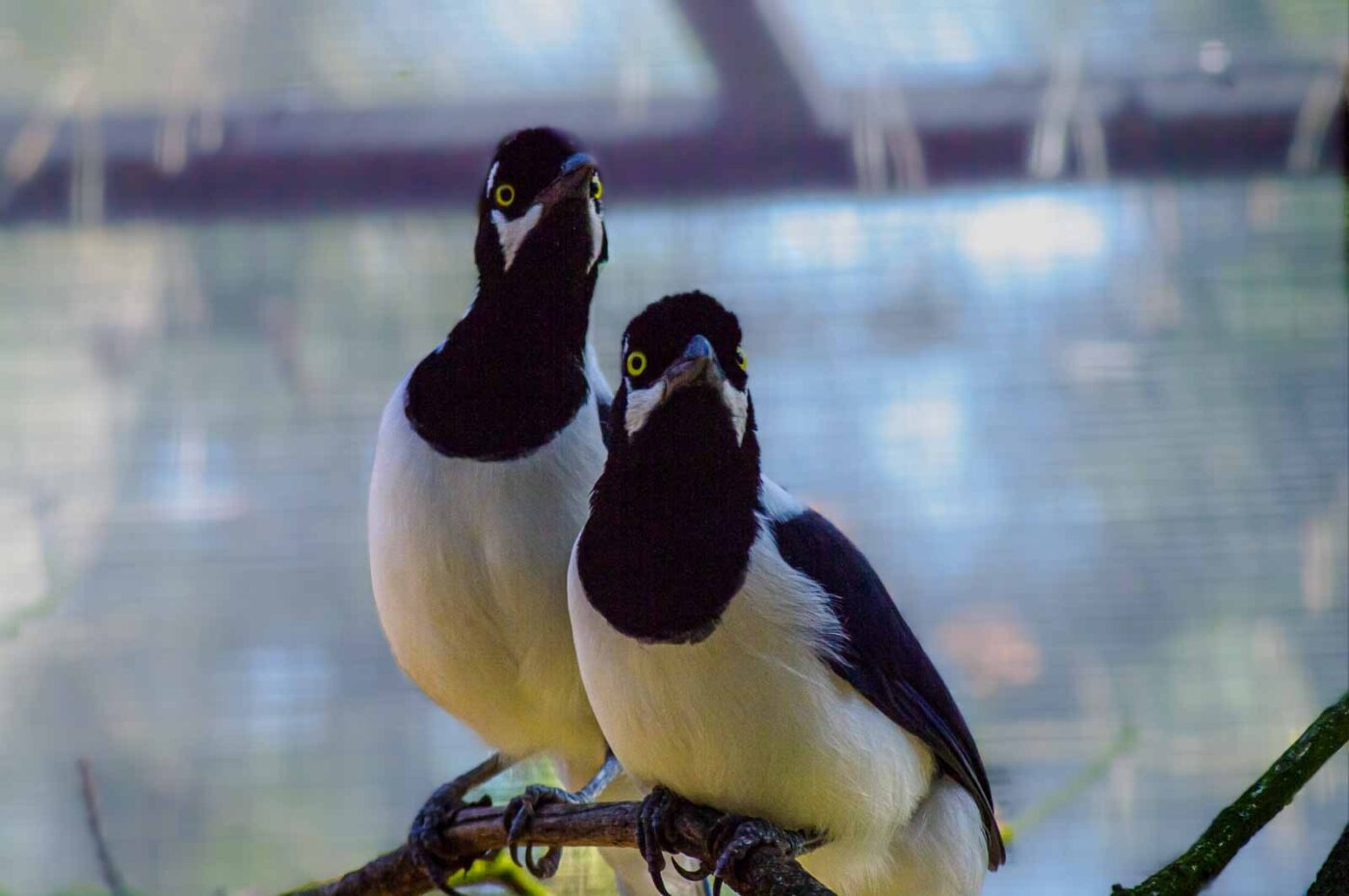 2018-04-18 - Walsrode - Vogelpark