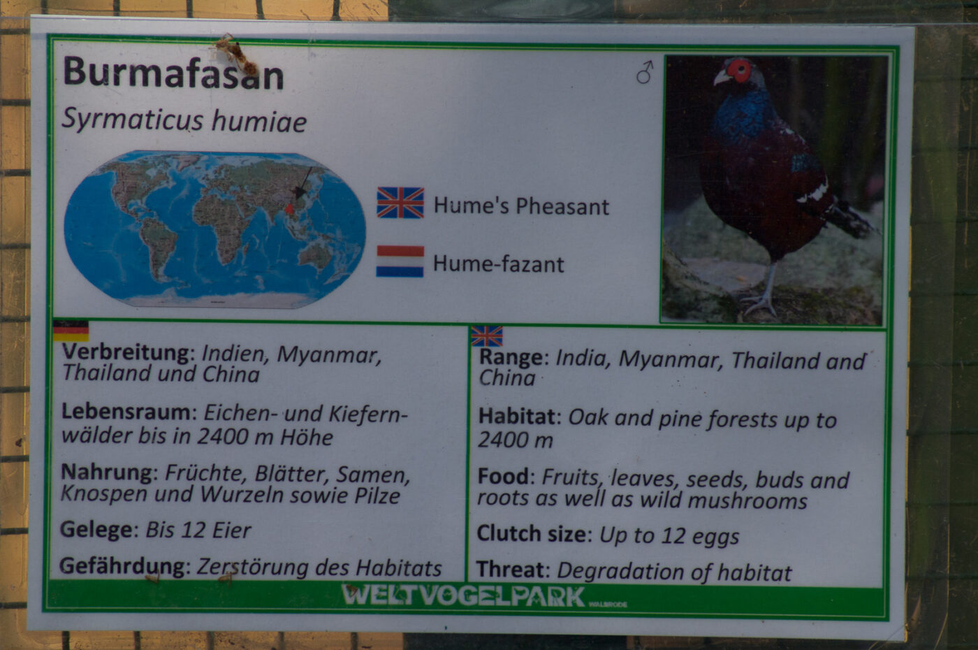2018-04-19 - Walsrode - Vogelpark