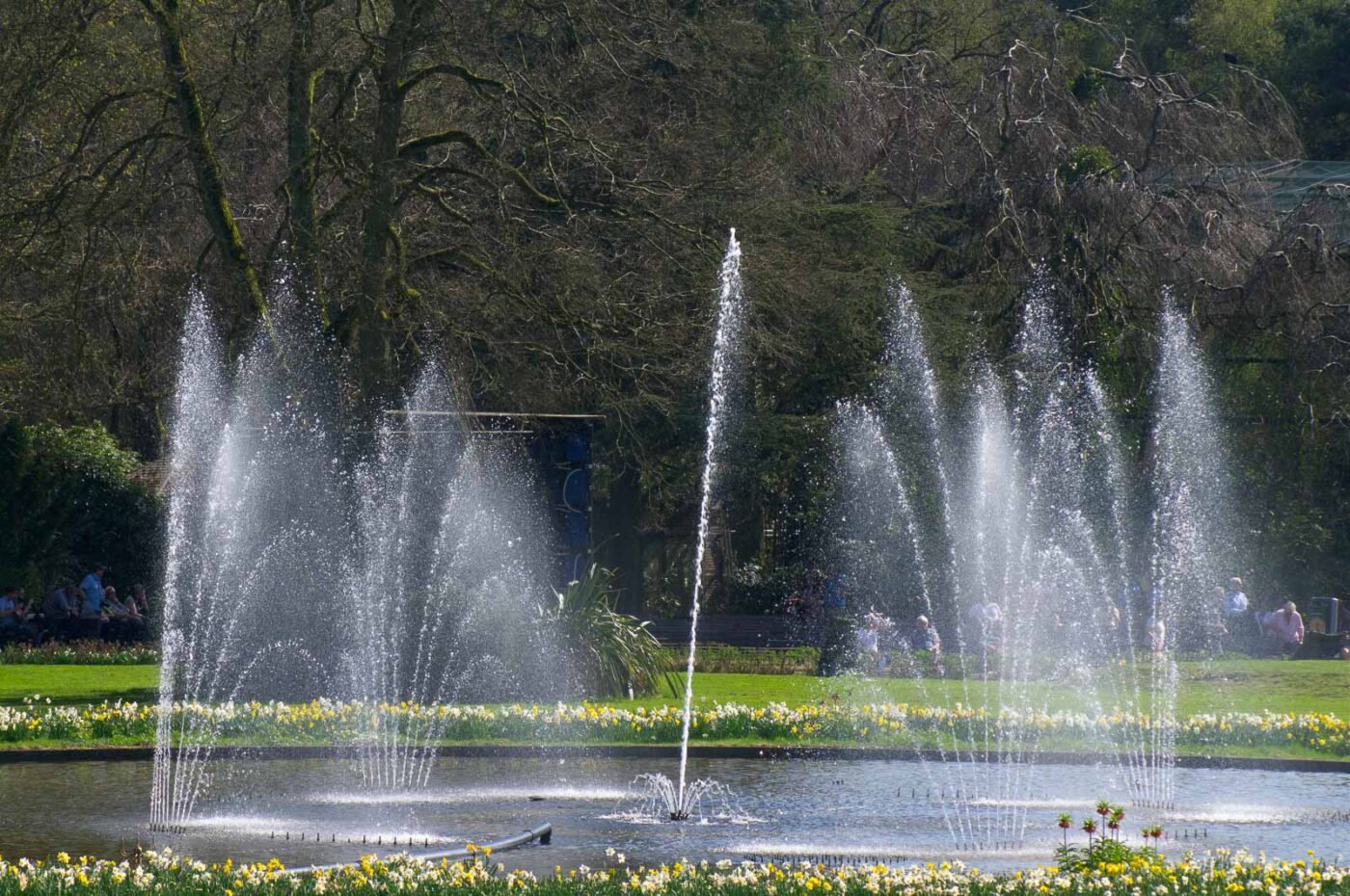 2018-04-19 - Walsrode - Vogelpark