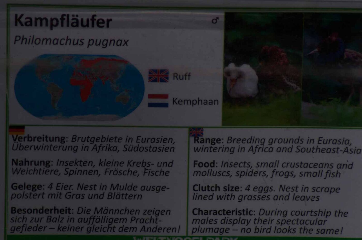 2018-04-19 - Walsrode - Vogelpark