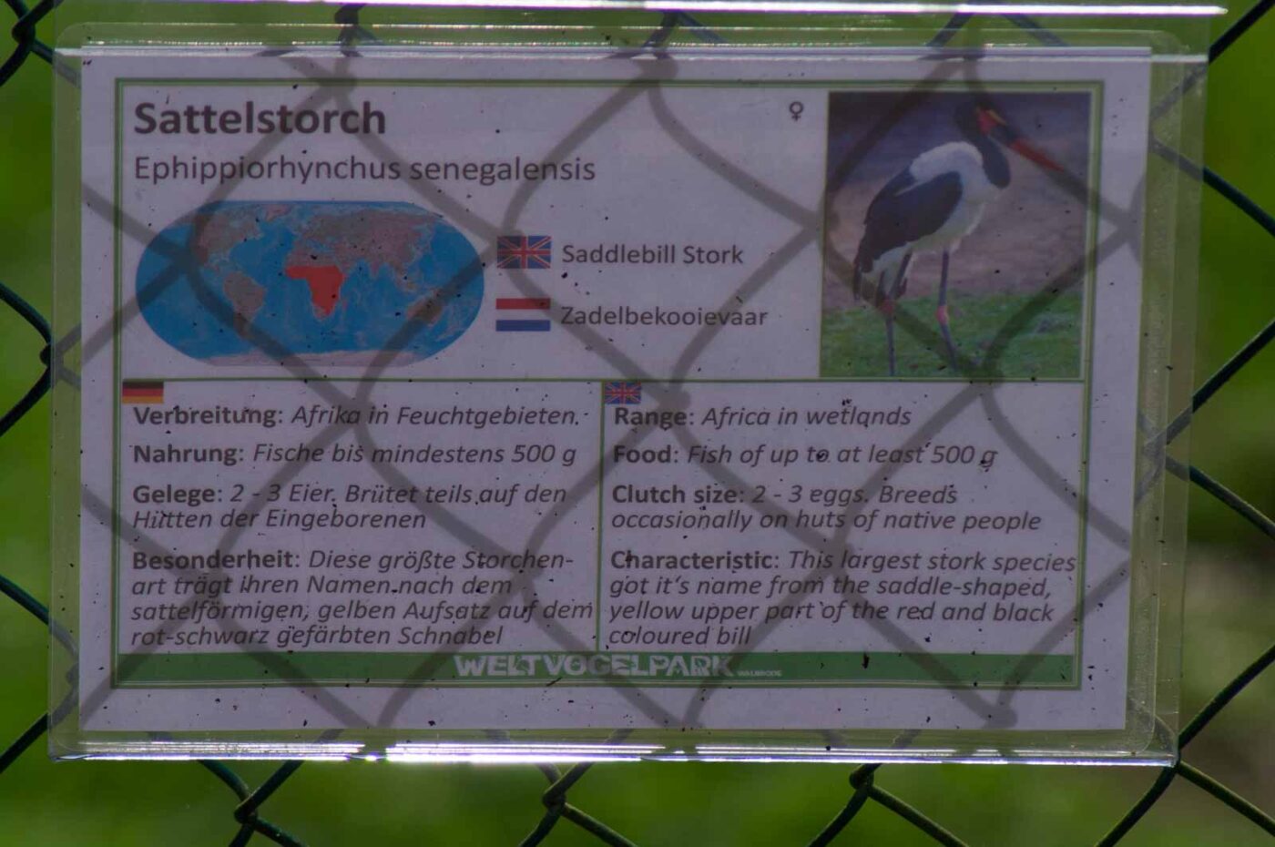 2018-04-19 - Walsrode - Vogelpark