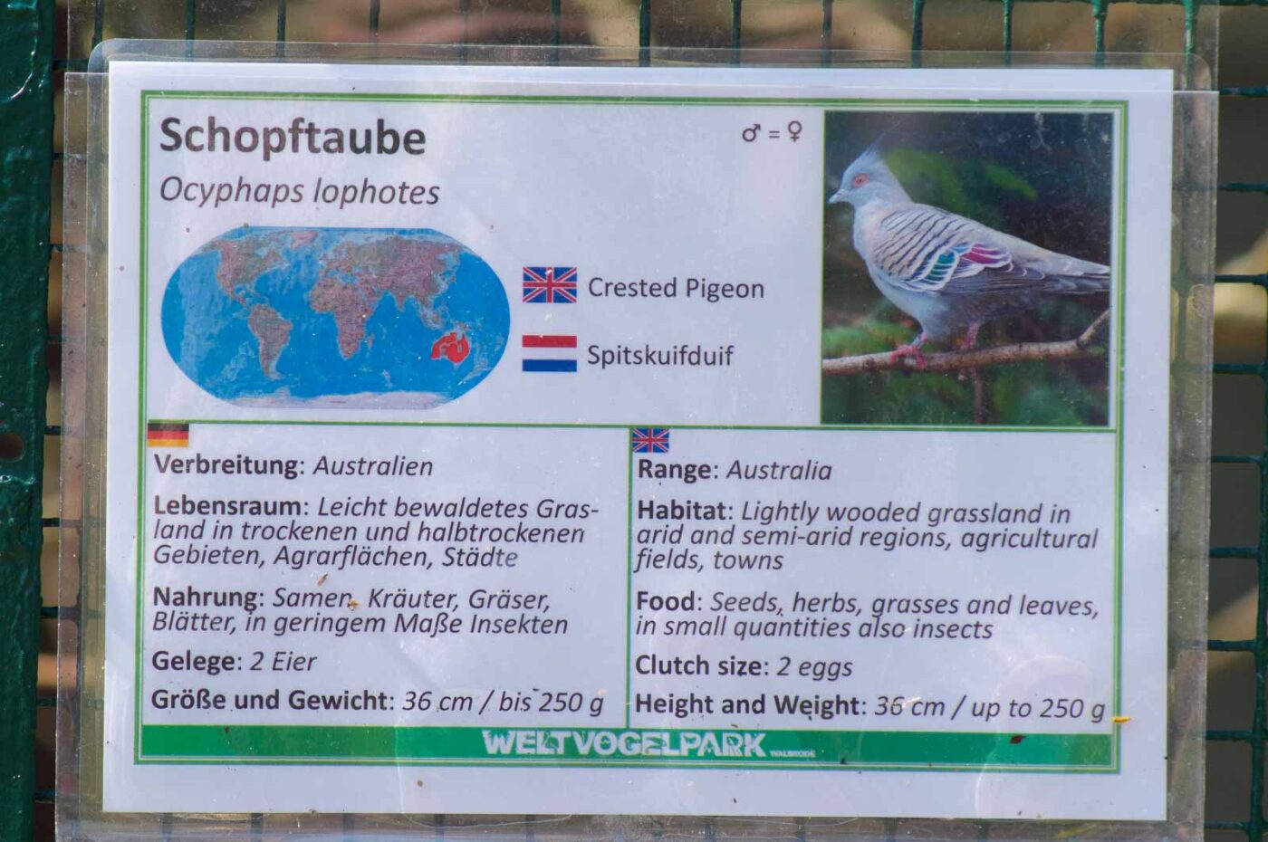 2018-04-19 - Walsrode - Vogelpark