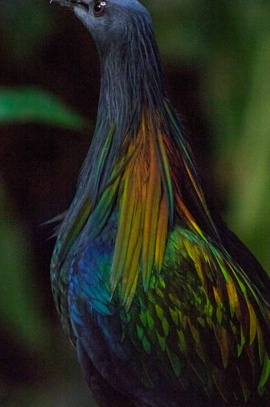 2018-04-19 - Walsrode - Vogelpark