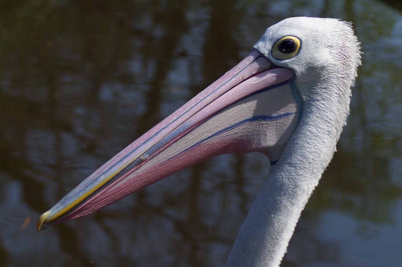 2018-04-19 - Walsrode - Vogelpark