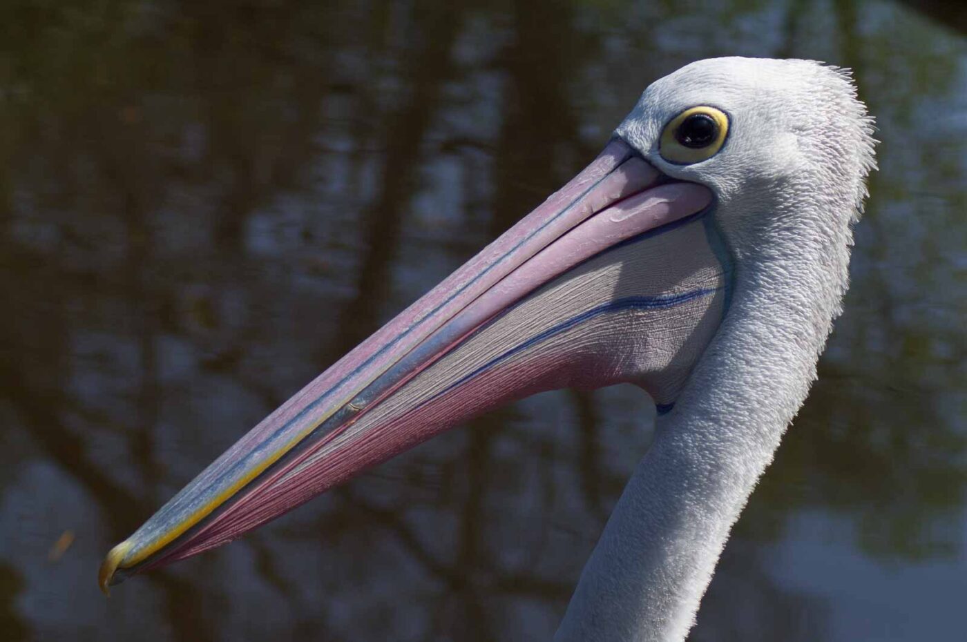 2018-04-19 - Walsrode - Vogelpark