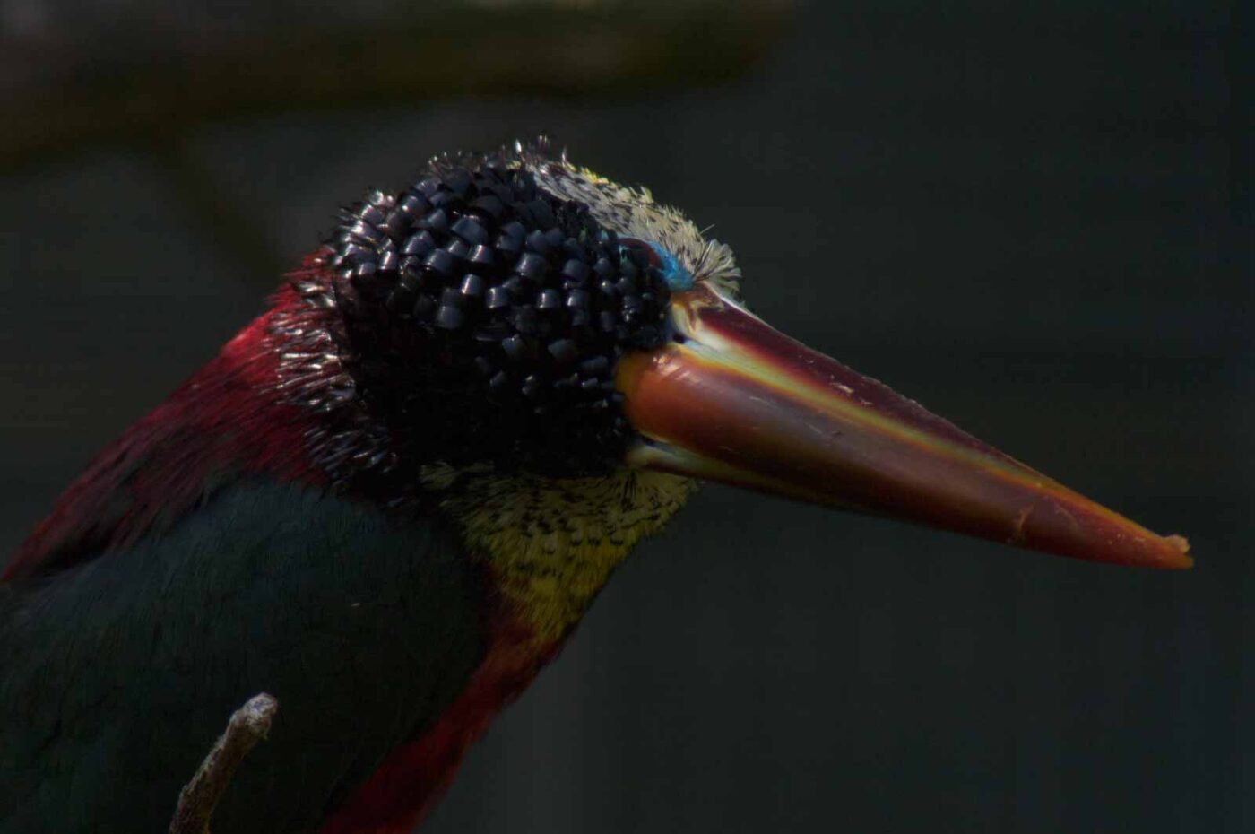 2018-04-19 - Walsrode - Vogelpark