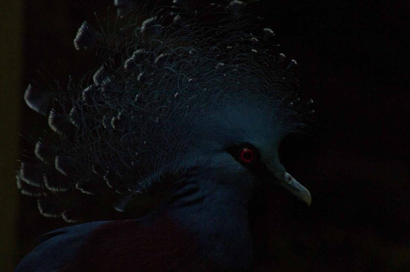 2018-04-19 - Walsrode - Vogelpark