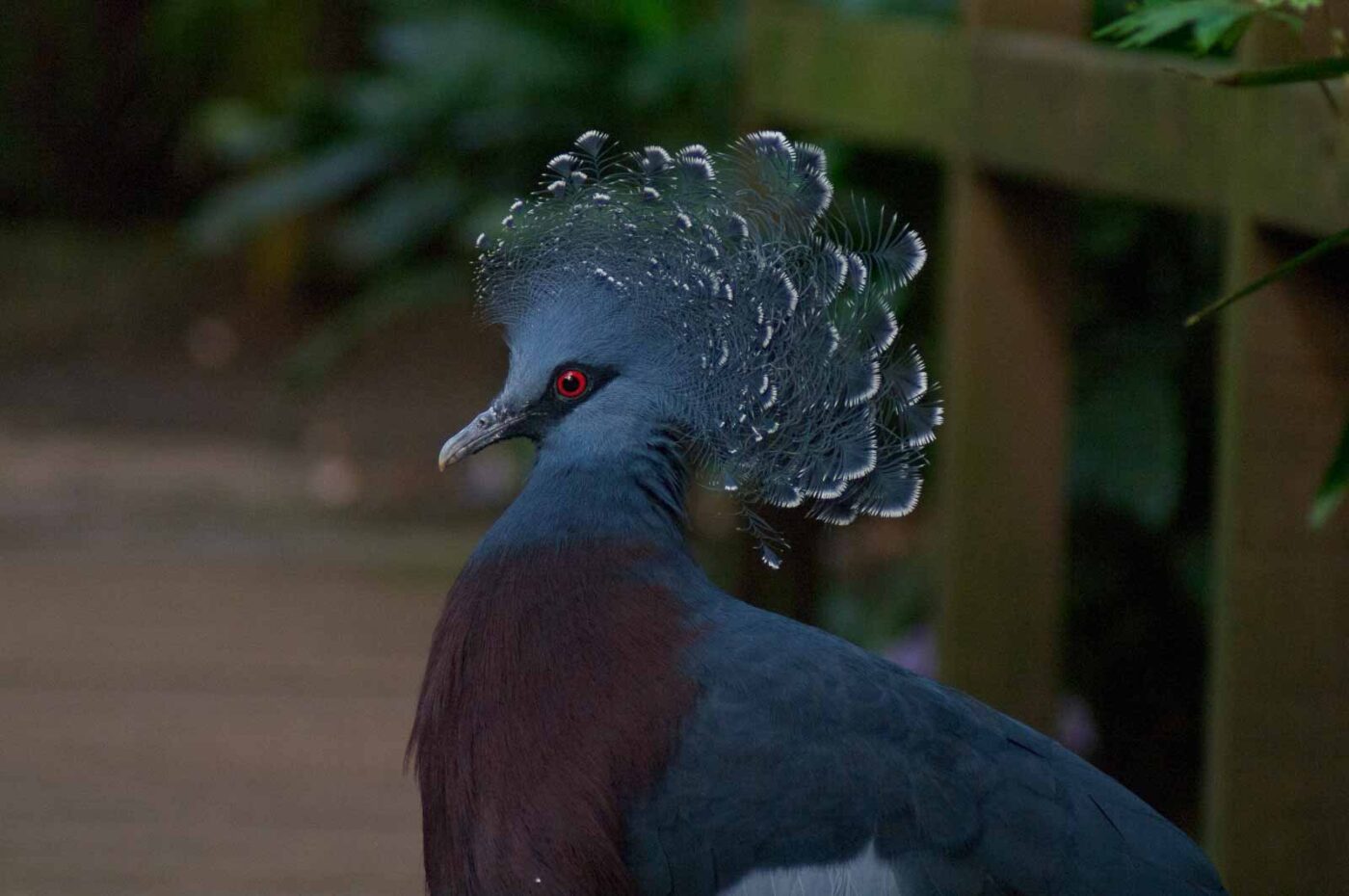 2018-04-19 - Walsrode - Vogelpark