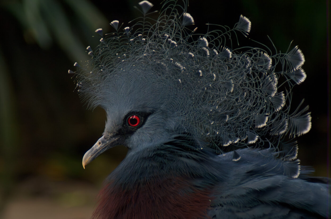 2018-04-19 - Walsrode - Vogelpark