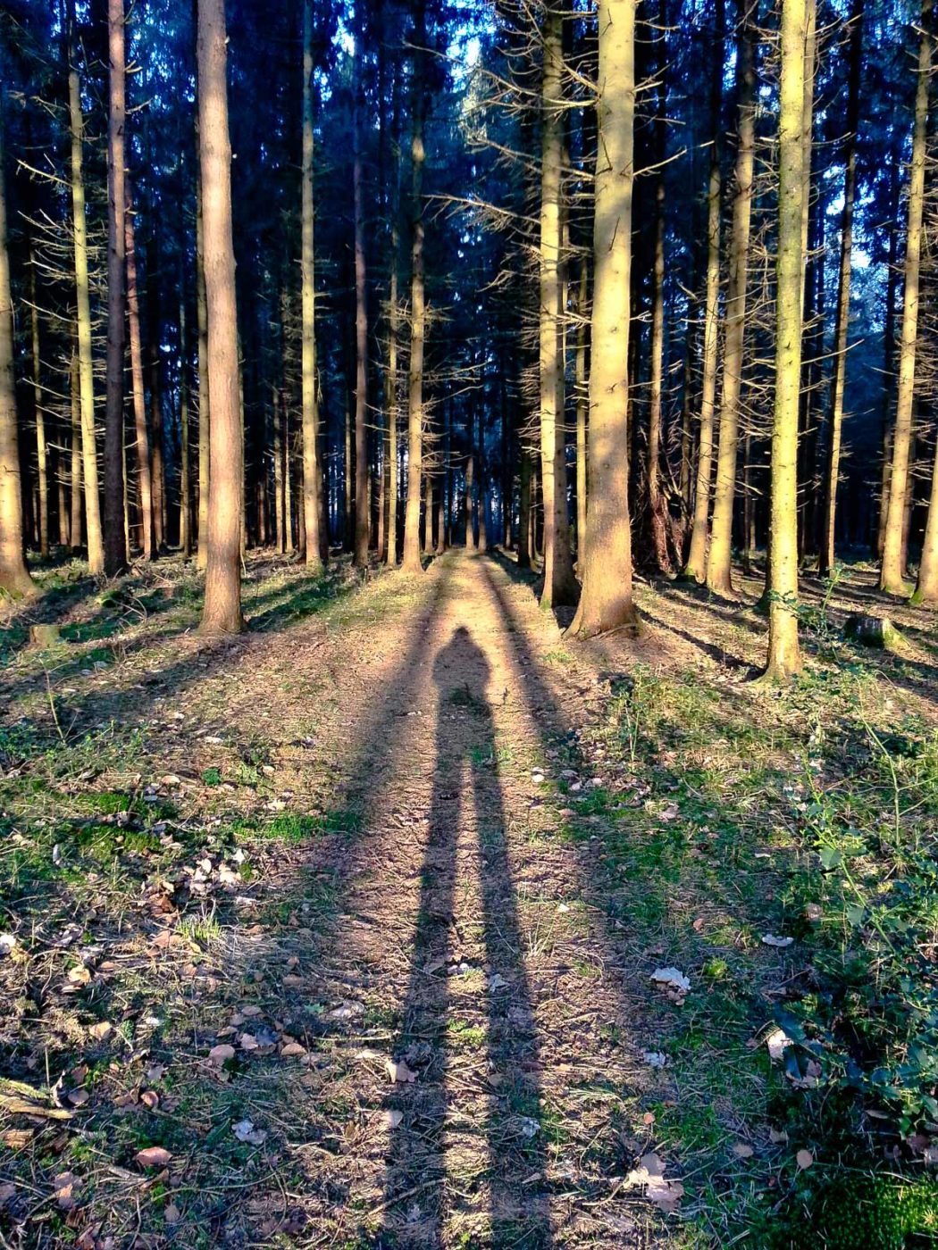 2018-04-18 - Walsrode