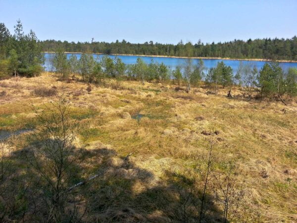 2018-04-20 - Walsrode