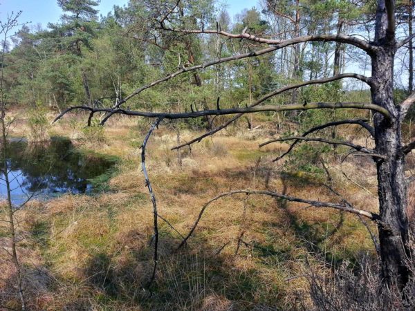2018-04-20 - Walsrode