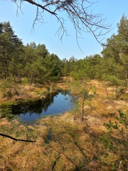 2018-04-20 - Walsrode