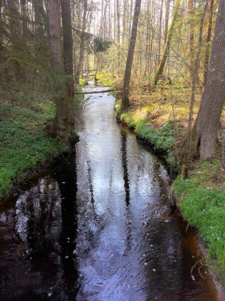 2018-04-20 - Walsrode