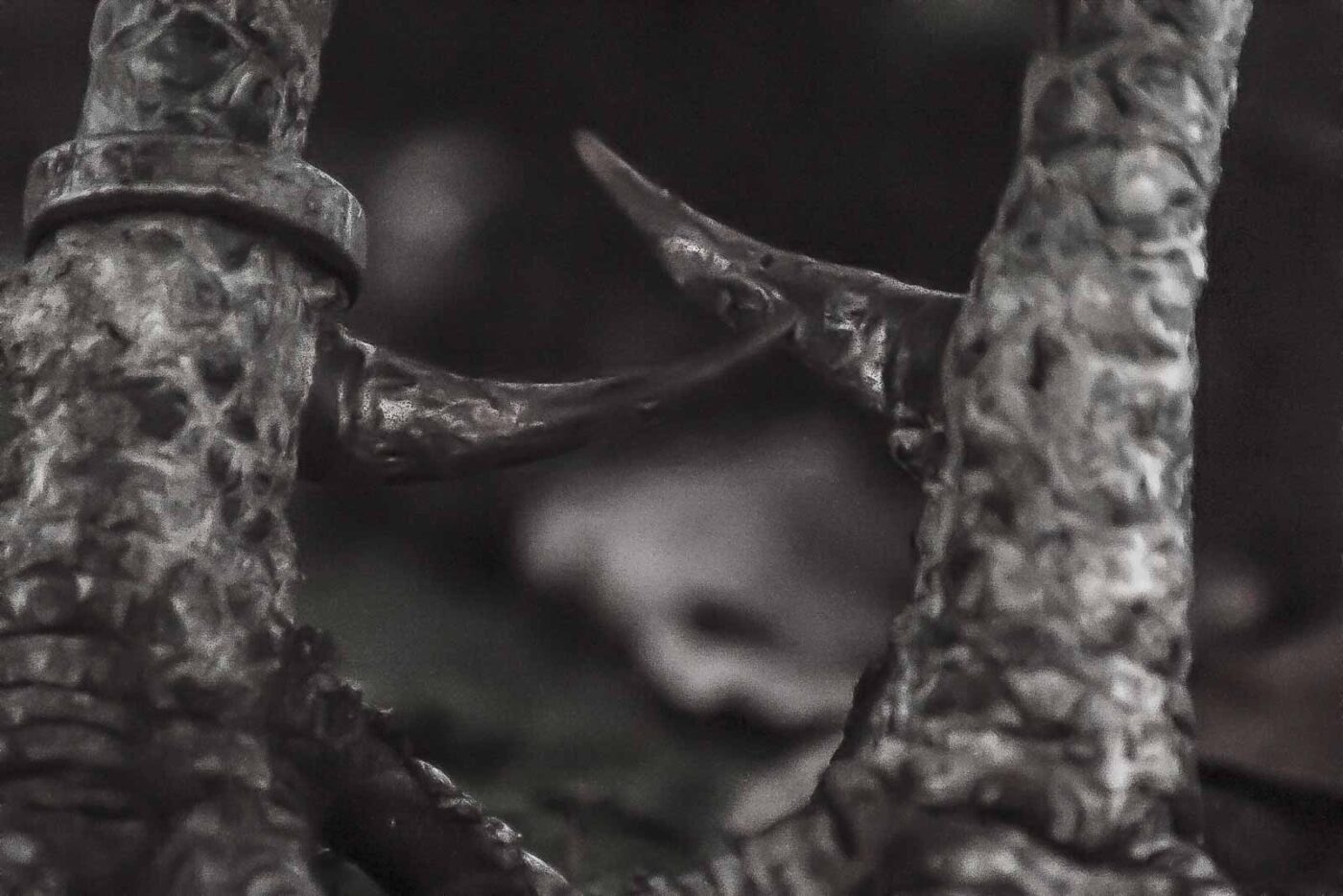 2016-01-09 - Stadtgarten Recklinghausen