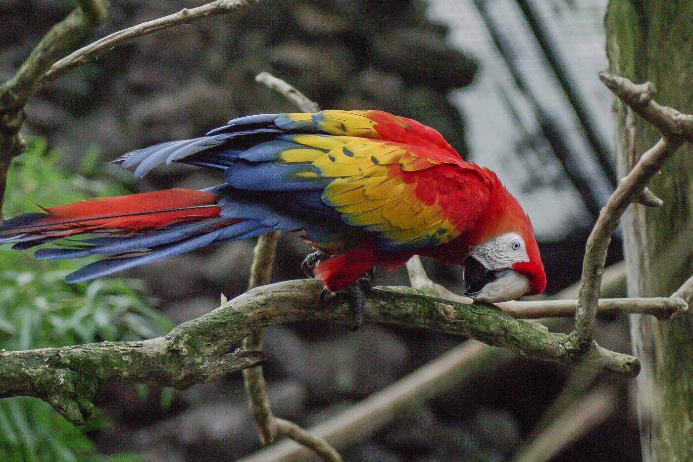 2016-03-10 - Allwetterzoo Münster