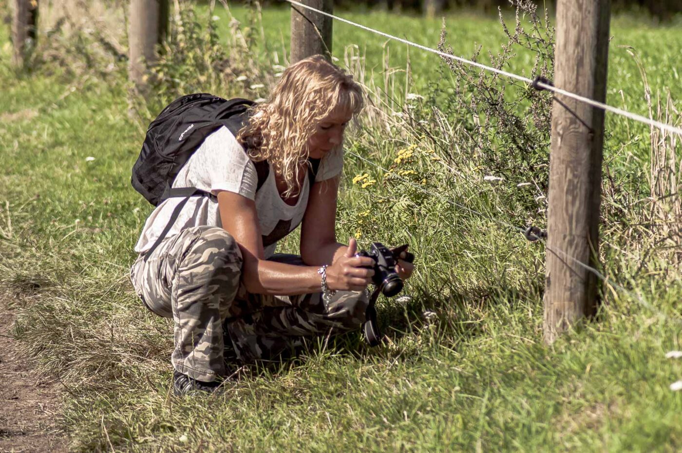 2016-08-30 - NSG Brandheide Recklinghausen