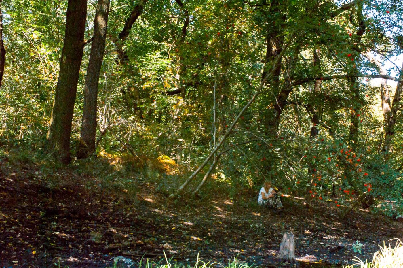 2016-08-30 - NSG Brandheide Recklinghausen