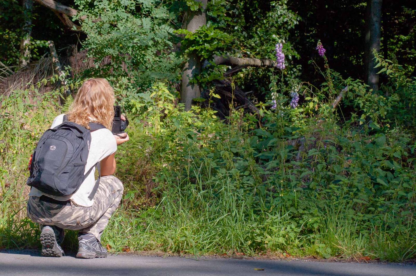2016-08-30 - NSG Brandheide Recklinghausen