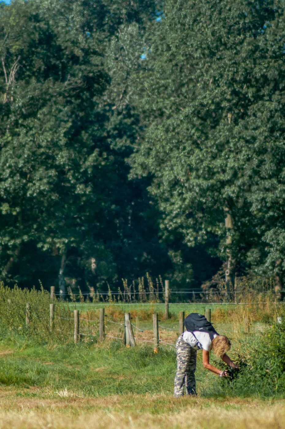 2016-08-31 - NSG Brandheide Recklinghausen